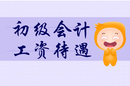 初級會計師一個月多少錢？