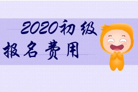 山東省2020年初級會計師報名費是多少？