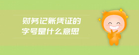 財務(wù)記賬憑證的字號是什么意思