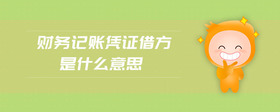 財(cái)務(wù)記賬憑證借方是什么意思