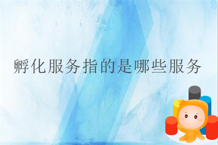 孵化服務指的是哪些服務？