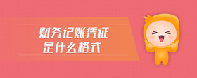 財(cái)務(wù)記賬憑證是什么格式