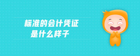 標(biāo)準(zhǔn)的會(huì)計(jì)憑證是什么樣子