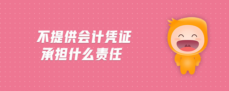不提供會計憑證承擔(dān)什么責(zé)任