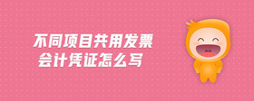 不同項目共用發(fā)票會計憑證怎么寫