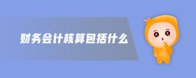 財務(wù)會計核算包括什么