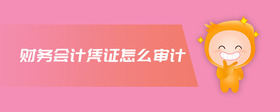 財務(wù)會計憑證怎么審計