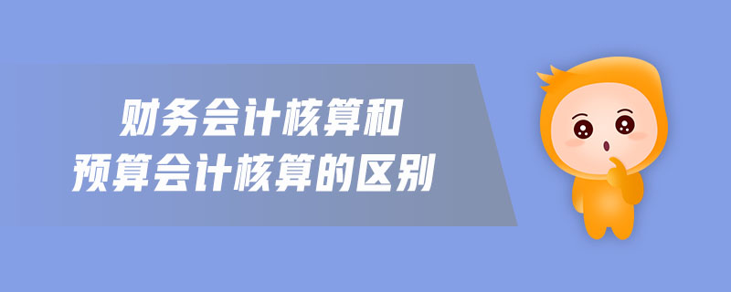 財務(wù)會計核算和預(yù)算會計核算的區(qū)別