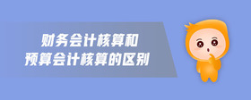 財務(wù)會計核算和預(yù)算會計核算的區(qū)別