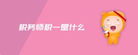 稅務(wù)師稅一是什么