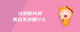 注冊(cè)稅務(wù)師報(bào)名系統(tǒng)是什么
