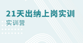 21天出納上崗實(shí)訓(xùn)