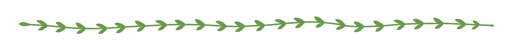 證書領(lǐng)取