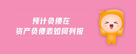 預(yù)計負(fù)債在資產(chǎn)負(fù)債表如何列報