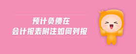 預(yù)計負(fù)債在會計報表附注如何列報
