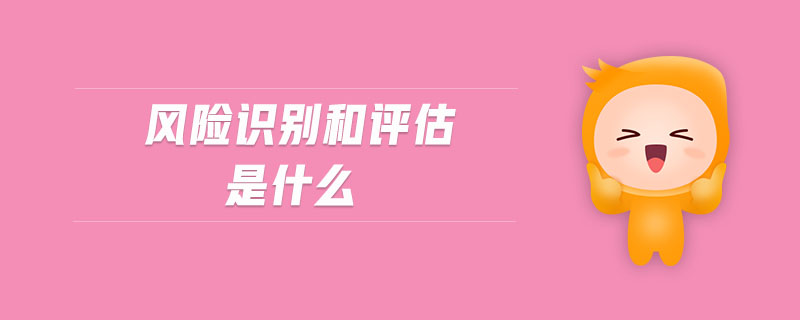 風險識別和評估是什么