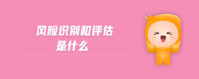 風(fēng)險(xiǎn)識(shí)別和評(píng)估是什么