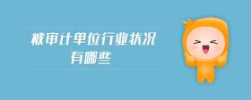 被審計(jì)單位行業(yè)狀況有哪些