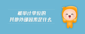 被審計(jì)單位的其他外部因素是什么