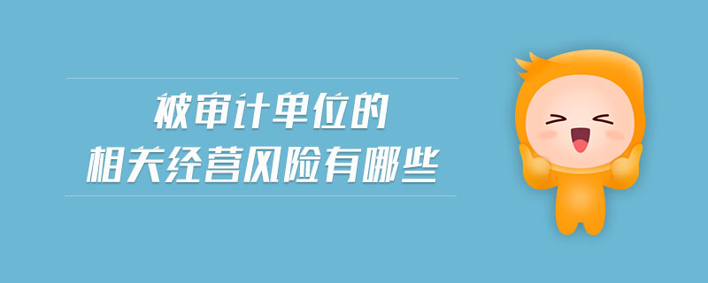 被審計(jì)單位的相關(guān)經(jīng)營風(fēng)險(xiǎn)有哪些