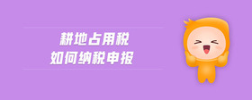 耕地占用稅如何納稅申報