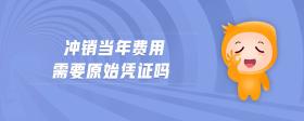 沖銷當(dāng)年費(fèi)用需要原始憑證嗎