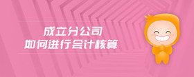 成立分公司如何進(jìn)行會(huì)計(jì)核算