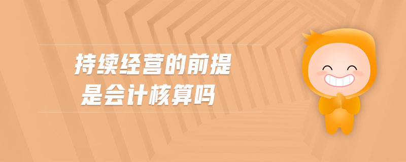 持續(xù)經(jīng)營的前提是會計(jì)核算嗎
