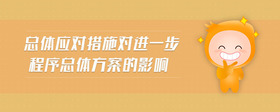 總體應(yīng)對措施對進(jìn)一步程序總體方案的影響