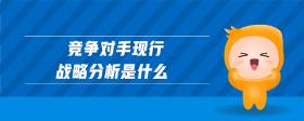 競爭對手現(xiàn)行戰(zhàn)略分析是什么