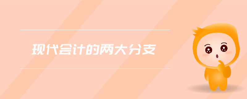 現(xiàn)代會(huì)計(jì)的兩大分支