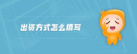 出資方式怎么填寫