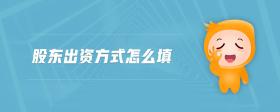 股東出資方式怎么填