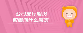 公司發(fā)行股份應(yīng)貫徹什么原則