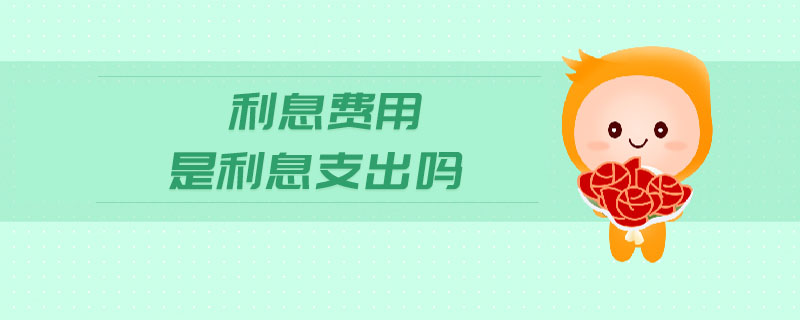 利息費(fèi)用是利息支出嗎