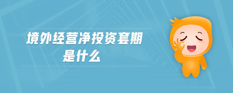境外經(jīng)營凈投資套期是什么
