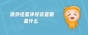 境外經(jīng)營凈投資套期是什么