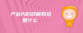 產(chǎn)業(yè)內(nèi)的戰(zhàn)略群組是什么