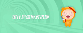 審計總體應對措施