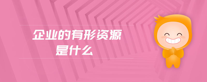 企業(yè)的有形資源是什么