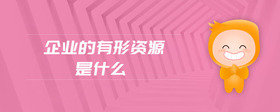 企業(yè)的有形資源是什么