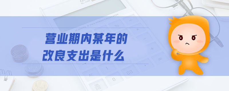營業(yè)期內(nèi)某年的改良支出是什么