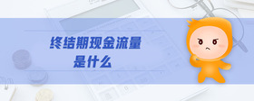 終結(jié)期現(xiàn)金流量是什么