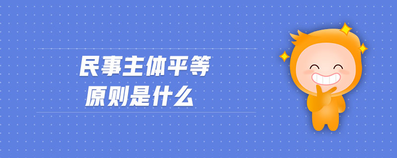 民事主體平等原則是什么
