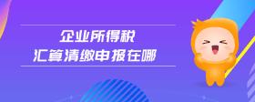 企業(yè)所得稅匯算清繳申報(bào)在哪