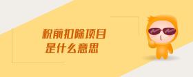 稅前扣除項目是什么意思