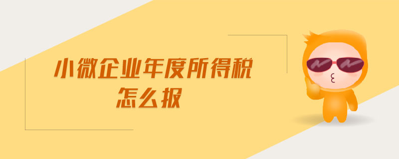 小微企業(yè)年度所得稅怎么報(bào)