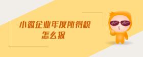 小微企業(yè)年度所得稅怎么報