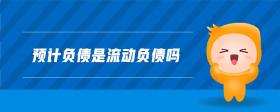 預計負債是流動負債嗎