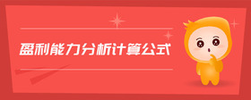 盈利能力分析計(jì)算公式